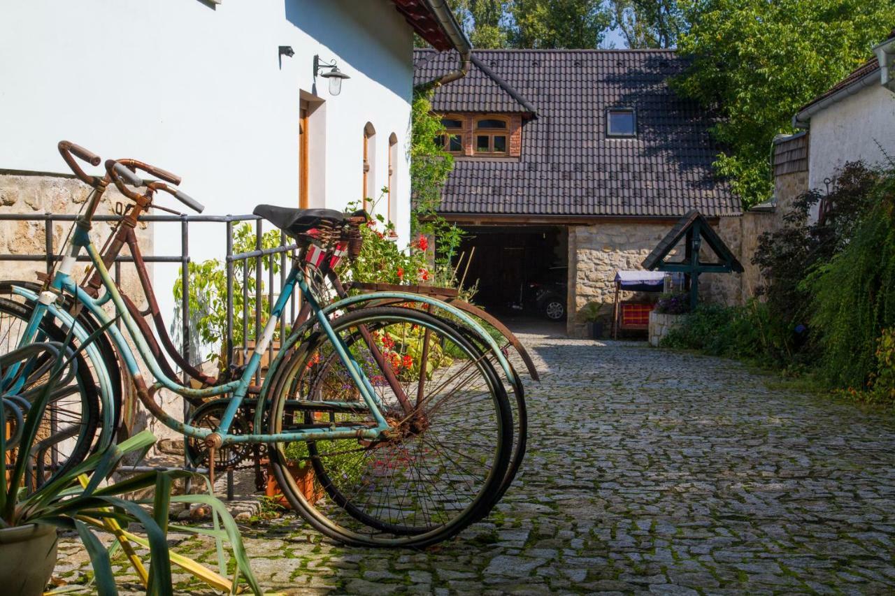 Penzion Cas Hotel Cesky Rudolec Exterior photo